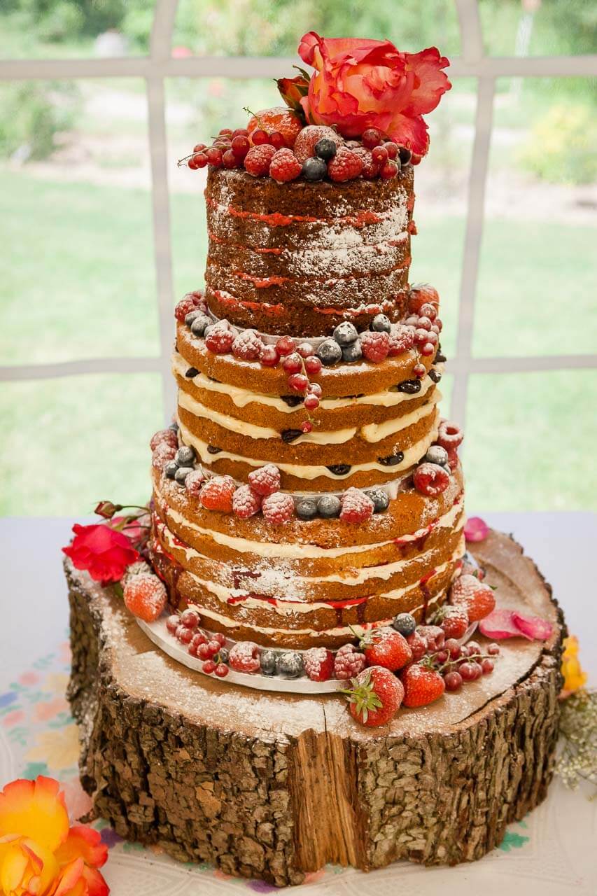 naked wedding cake sitting on wooden log