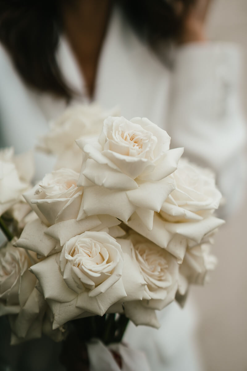 close up shot of white roses
