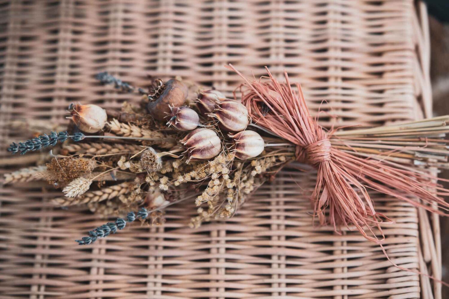 close up of bunch of dried flowers