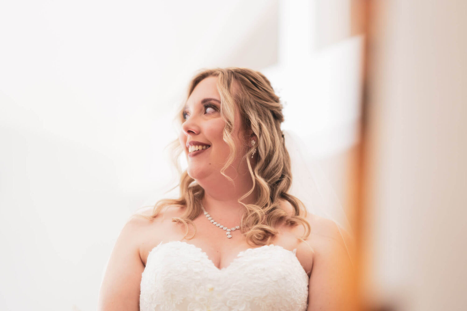 bridal portrait looking to the left