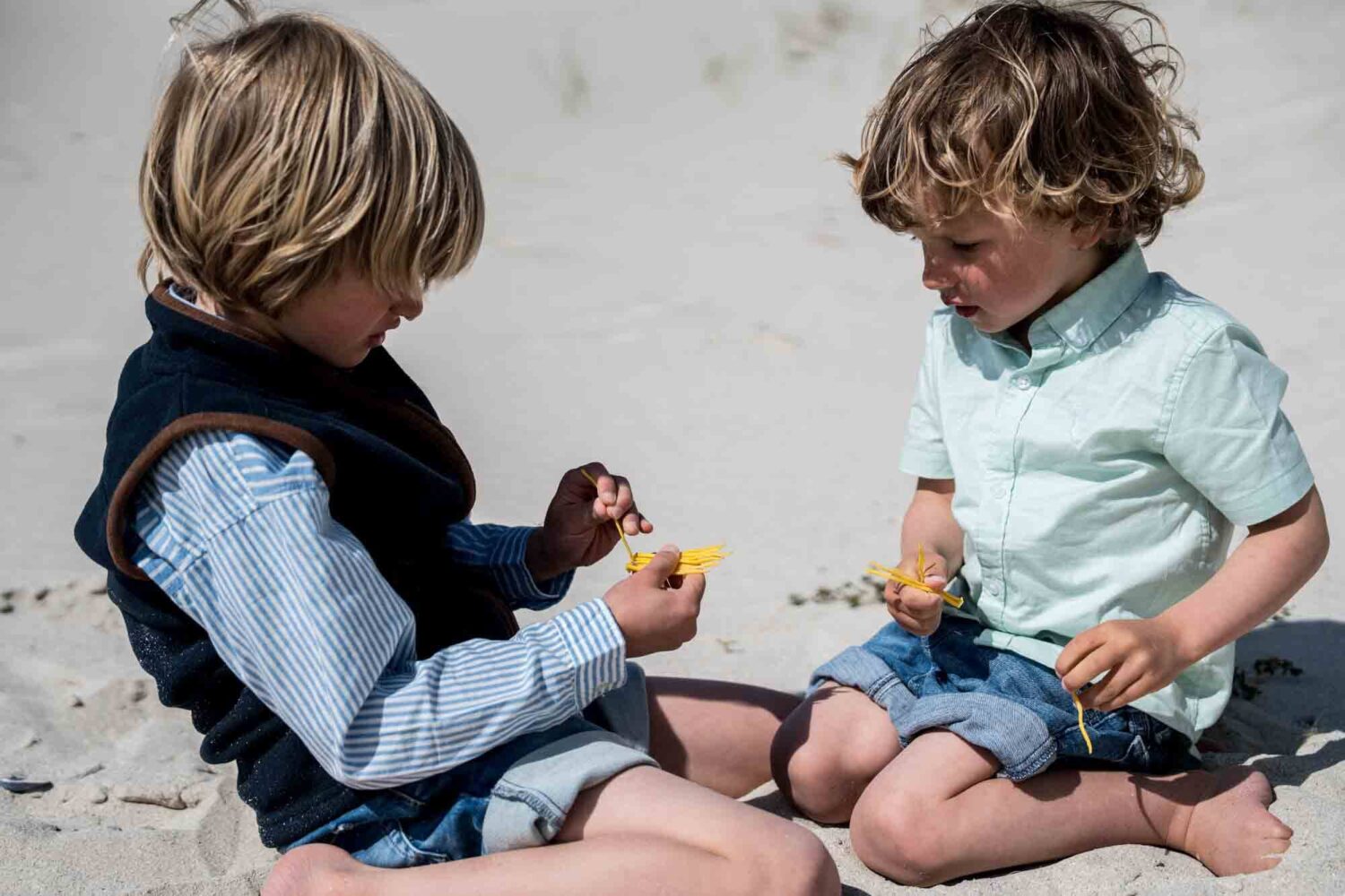 boys on the beach looking at shells