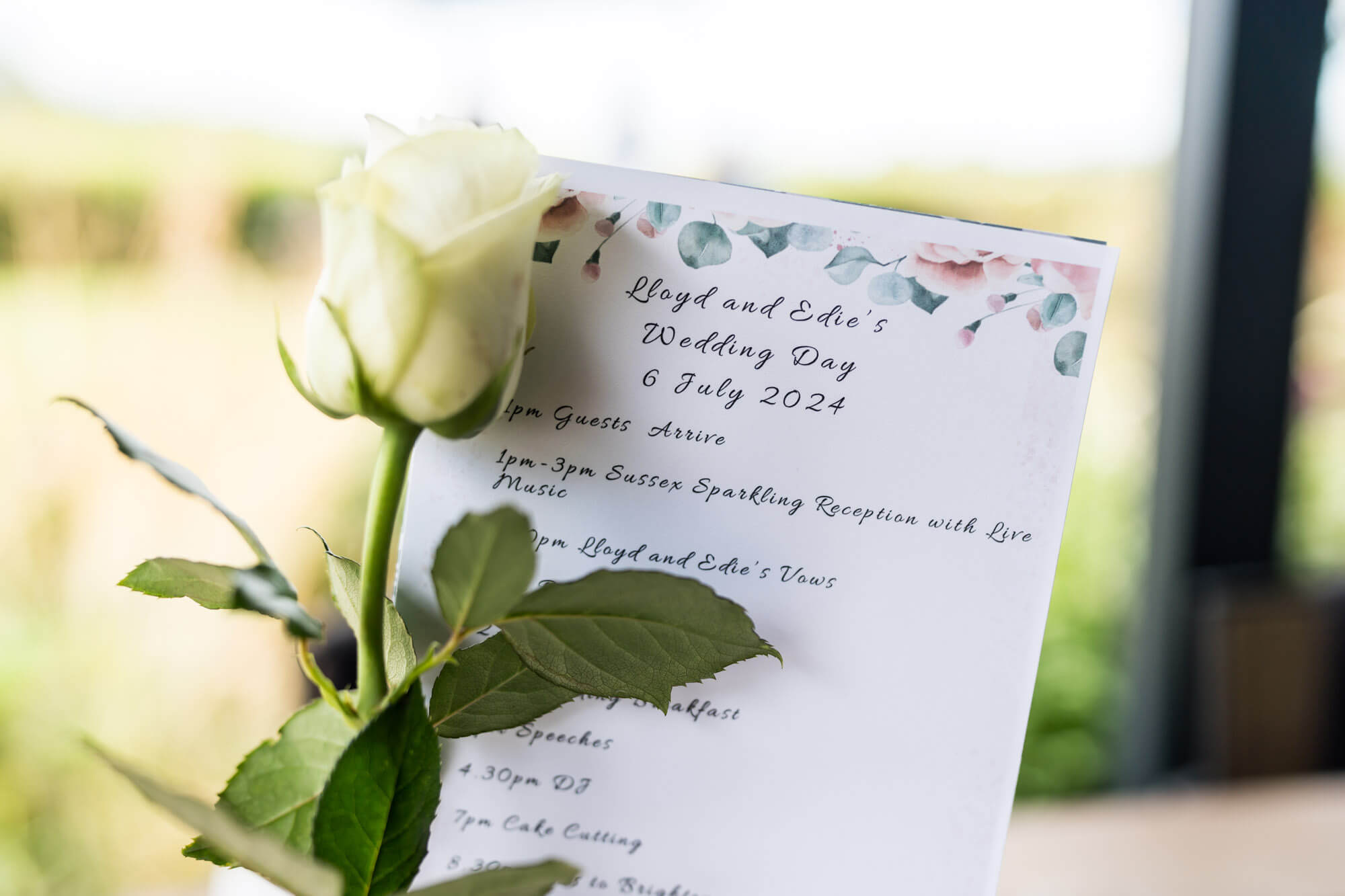 White rose against informative letter.
