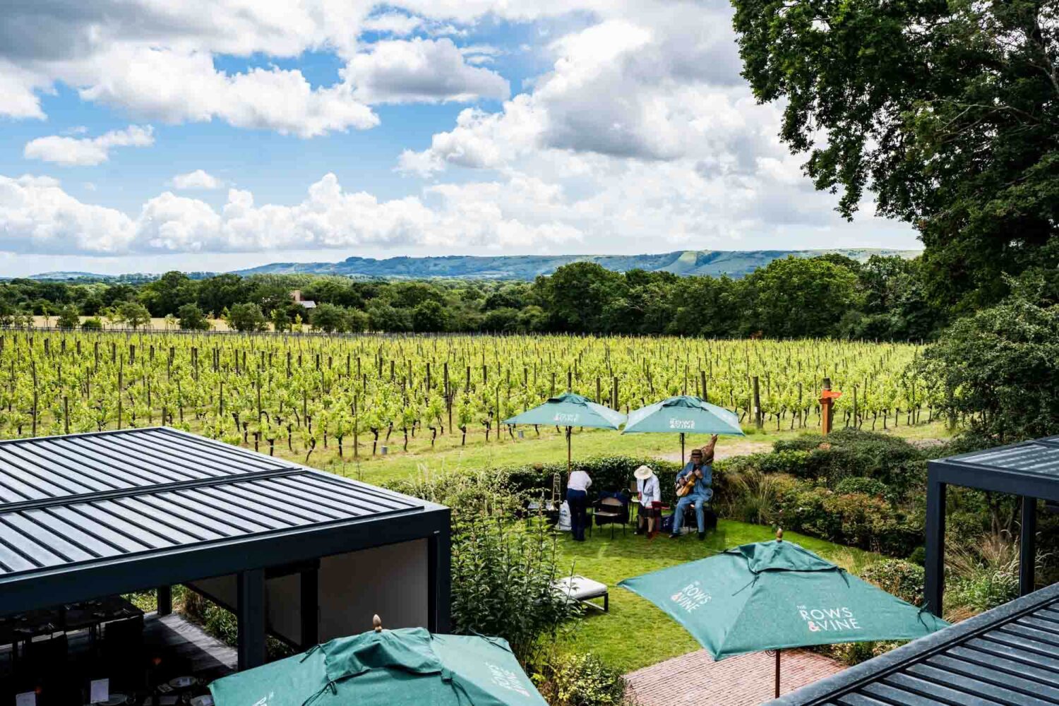 Landscape photo of field, vineyard and venue.